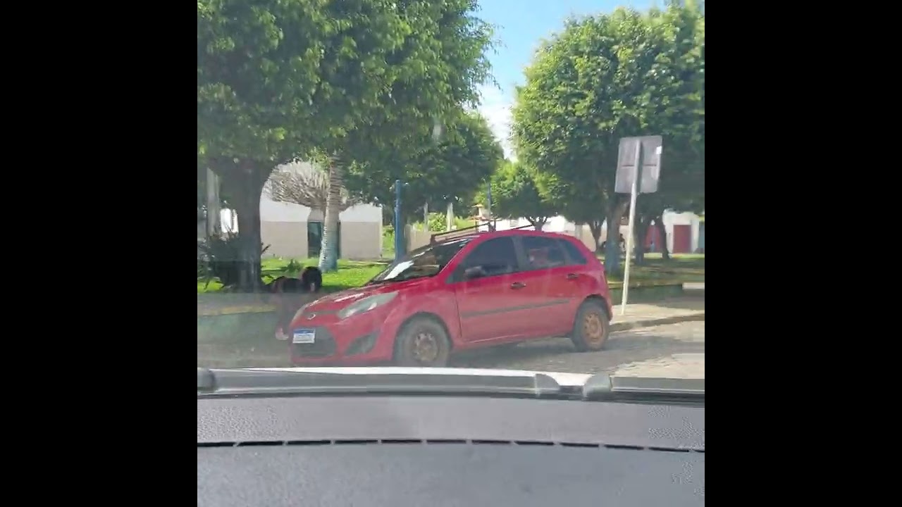 Anury Arataca Bahia Brasil By: Jorge Xavier