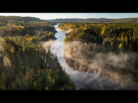 Höst I Höga Kusten Inland