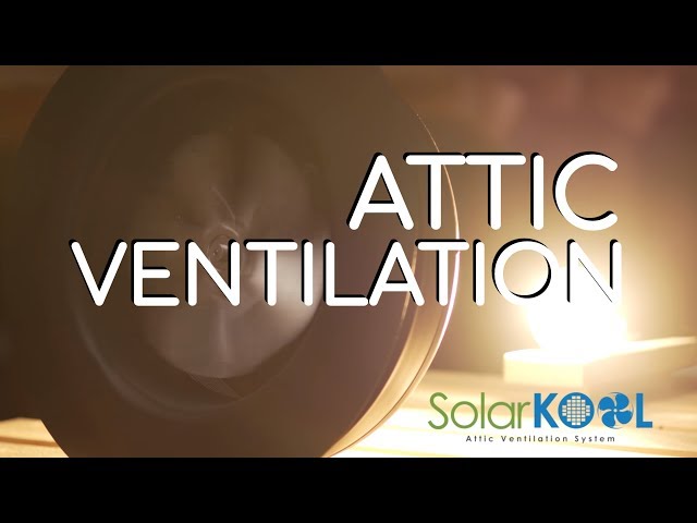 SOLAR ATTIC FAN REVIEW: Keep your Attic Critter FREE! (TODAY)