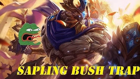 The Classic Maokai Bush Trap
