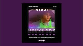 Nidji - Hapus Aku (koplosan Remix)