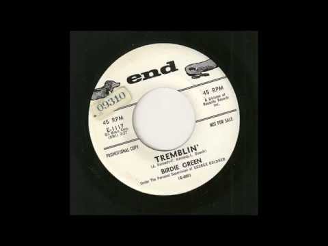 Birdie Green-  Tremblin( End promo)
