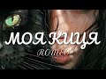 МОЯ КИЦЯ ROMEO Нова пісня 2026