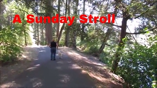 Granny Takes a Sunday Stroll