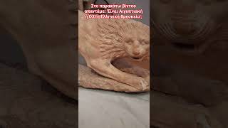 #μυθολογία #ελλαδα #ελλάδα #ελλασ #ελλάσ #ελληνισμόσ #ελληνικη #αρχαία #ελληνισμόσ #θρησκεία #shorts