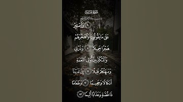 سورة المزمل واصبر على مايقولون واهجرهم هجرا جميلا وذرني والمكذبين أولى النعمة ومهلهم الاية ١٠ الى ١٣