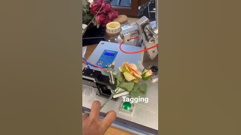 Loop pin tagging machine #loop pin#loop tag gun