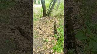 ⚠️fuimos a la fábrica abandonada en Frías Santiago del estero y esto encontramos ⚠️👽👽😱