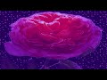 Mustard Woah Woah Feat Young Thug Gunna Slowed To The Vibe 