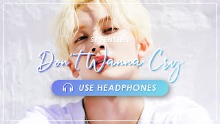[8D AUDIO] SEVENTEEN - Don't Wanna Cry | CONCERT EFFECT [USE HEADPHONES] 🎧