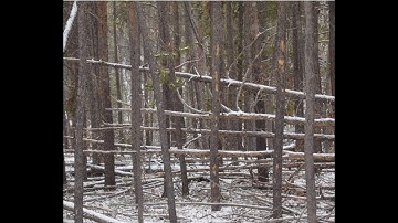 Bigfoot Lumberyard Beyond Teepees