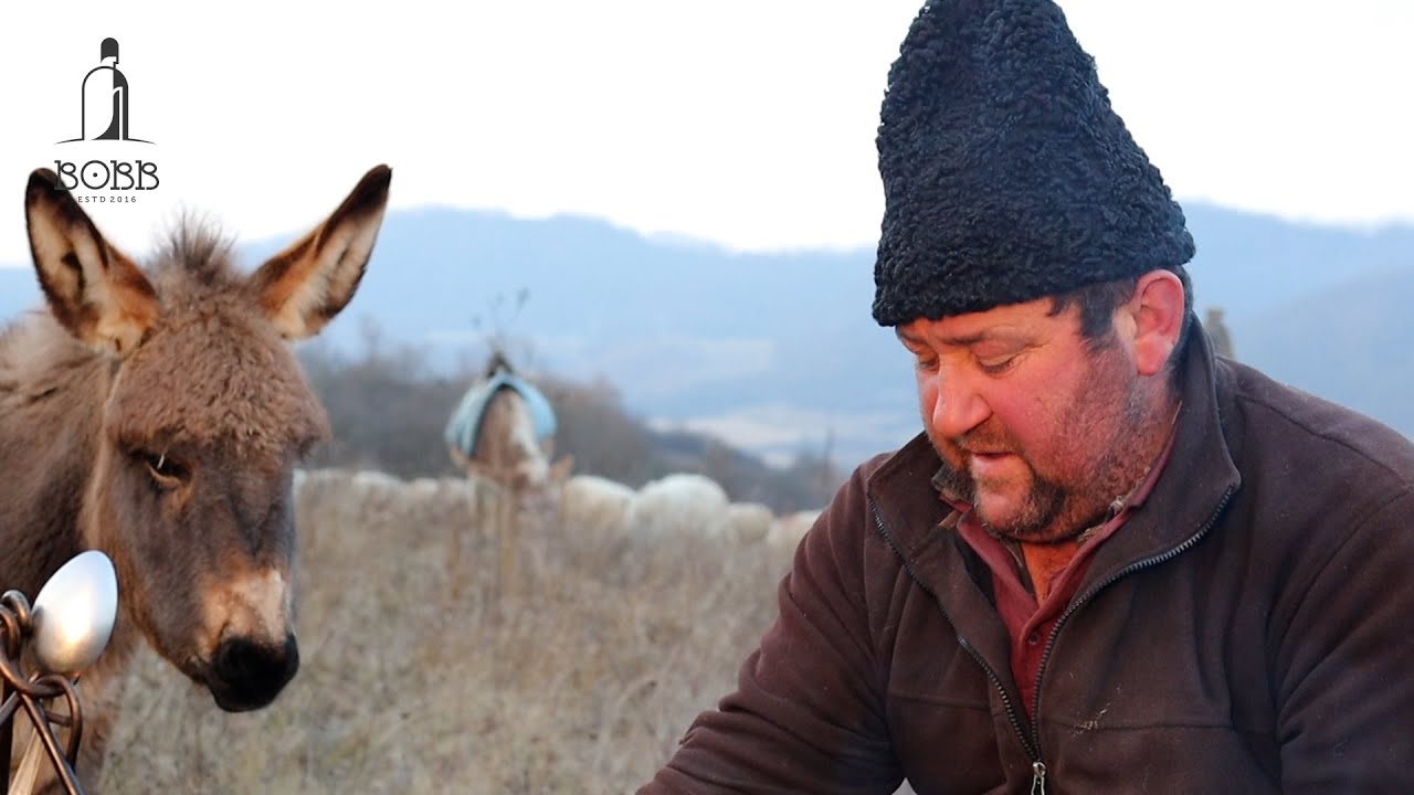 ULTIMUL PĂSTOR DIN JINA, SIBIU ÎN TRANSHUMANȚĂ | DE CE SE FACE TRANSHUMANȚA? - DOCUMENTAR EP.2