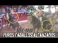 Especial De Toros Bravos Busca Caballos !!!