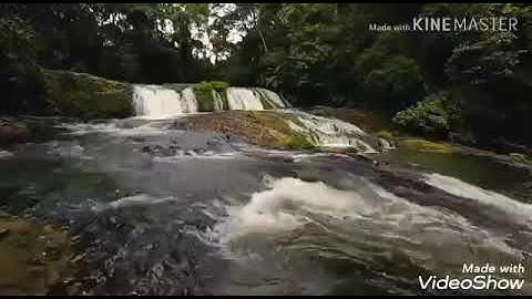 سوره ق بصوت رائع تخشع له القلوب ❤️