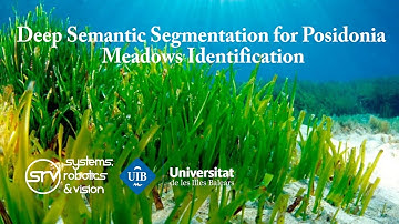 Deep Semantic Segmentation for Posidonia Meadows Identification - SRV UIB