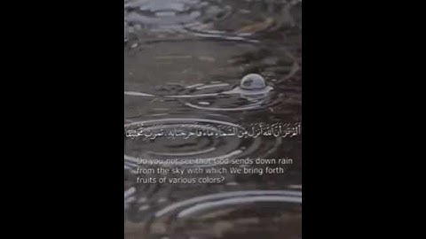 #تلاوة عطرة لآيات من سورة فاطر # ايرين زيليا نووي