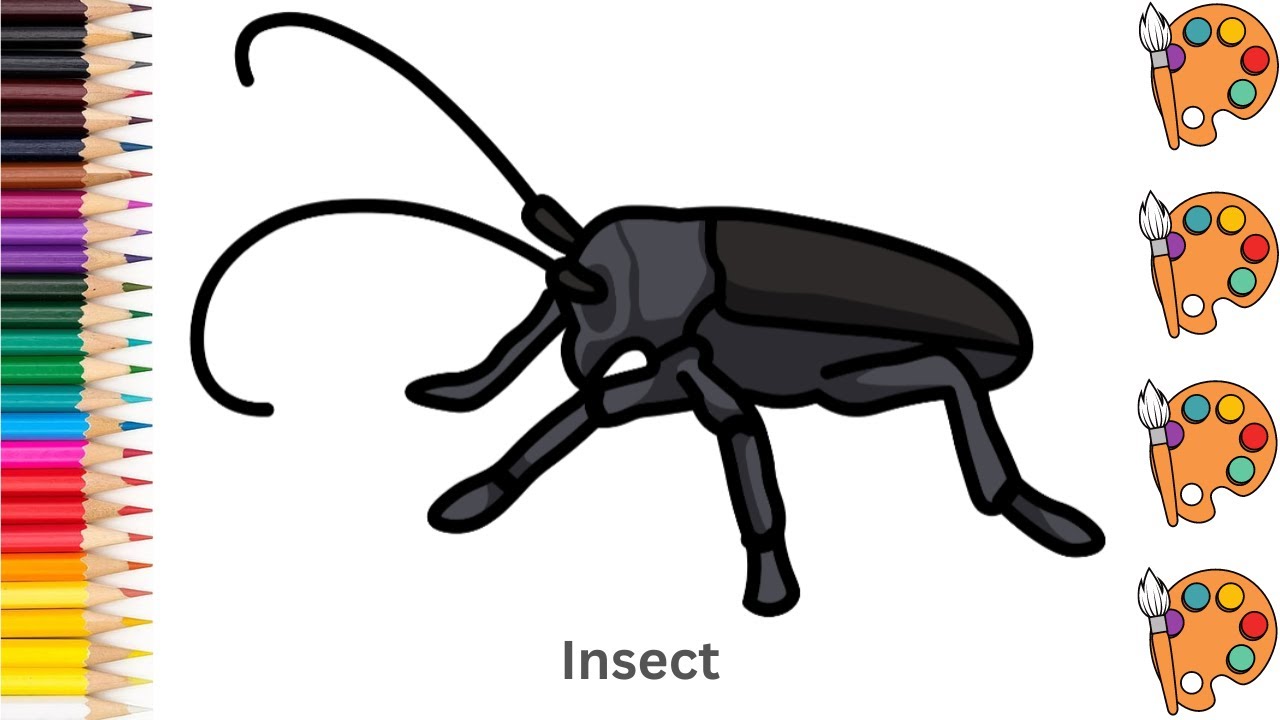 🪲 How to draw a Insect | Step by step tutorial to draw, sketch and ...