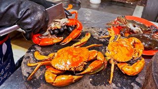 XXL CRAB！Giant Chilli Crab, Braised Honey Crab, Mud Crab / 還沒吃過！芙蓉燒螃蟹, XXL特大辣椒蟹, 沙公 - 海鮮美食