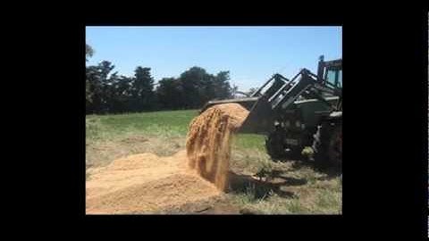 Mortality Composting