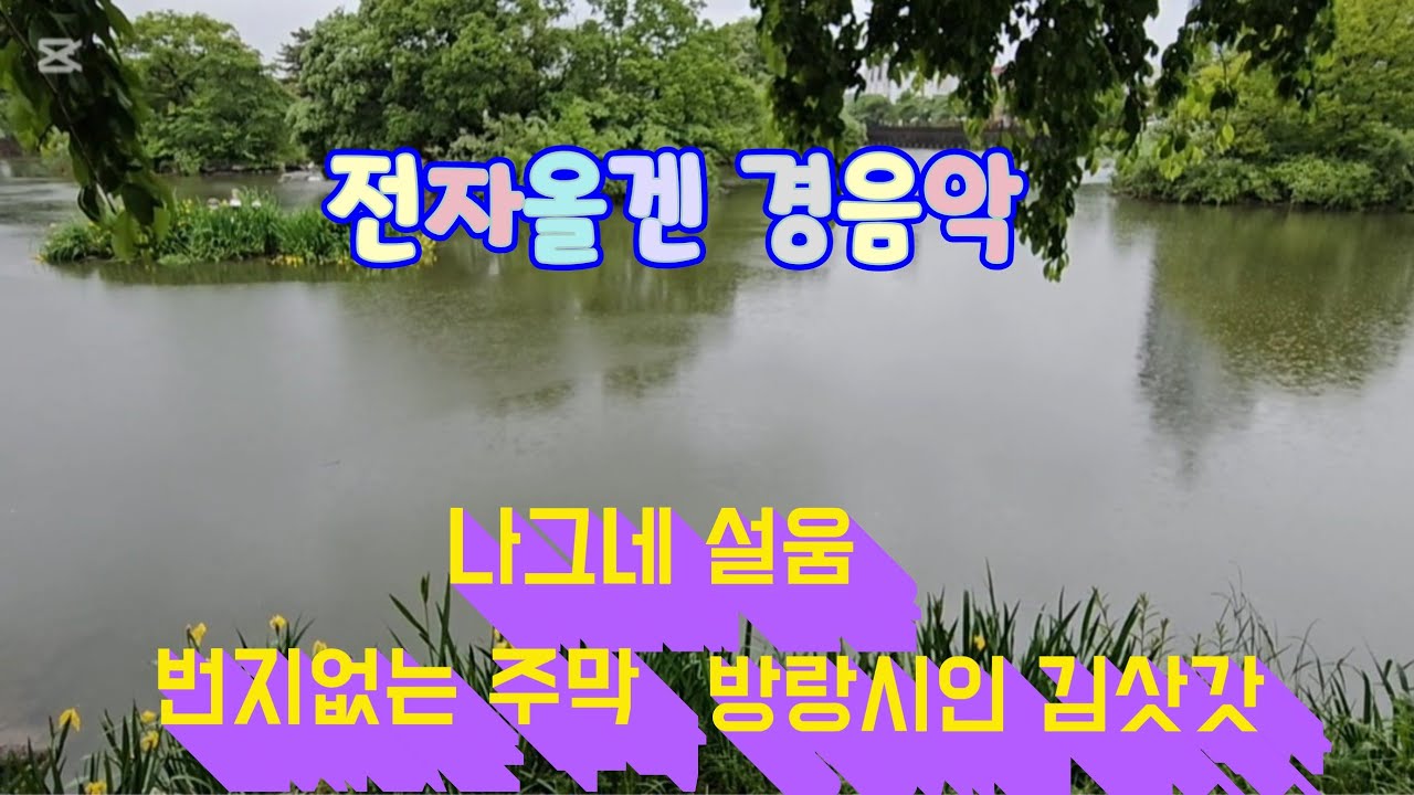 나그네설움/번지없는 주막/방랑시인 김삿갓/전자올겐 경음악 🎹