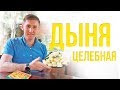 Целебная дыня | Рецепты Ивана Павловича Неумывакина