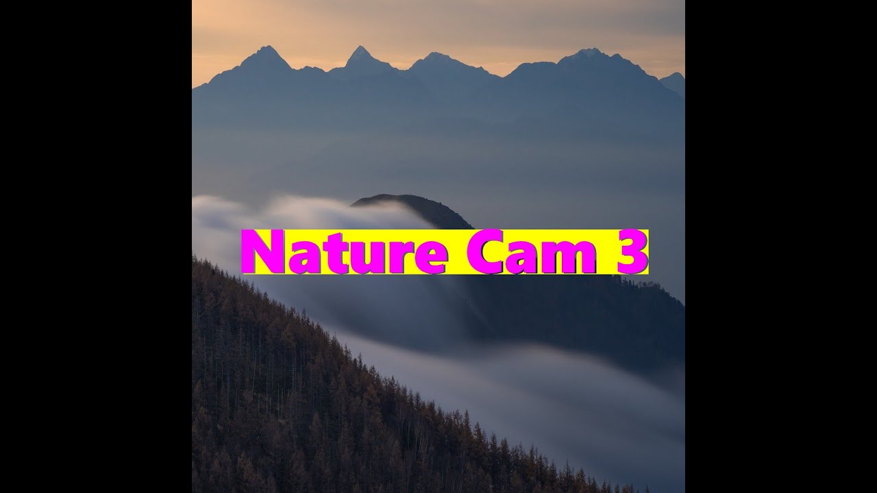 Mad Cave - Nature cam 3