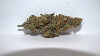 Strain Review - OG Lime Killer by Ethos Genetics