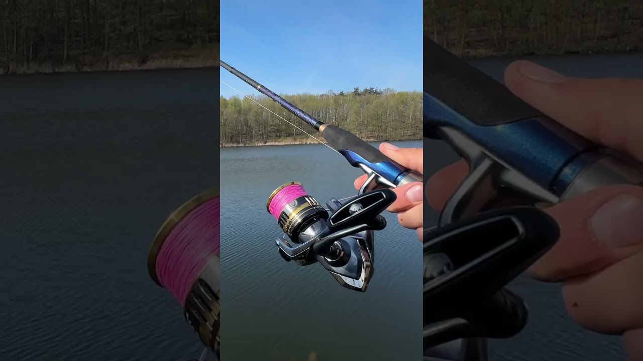 Skyline 2,13 10-30g + ultegra fc4000