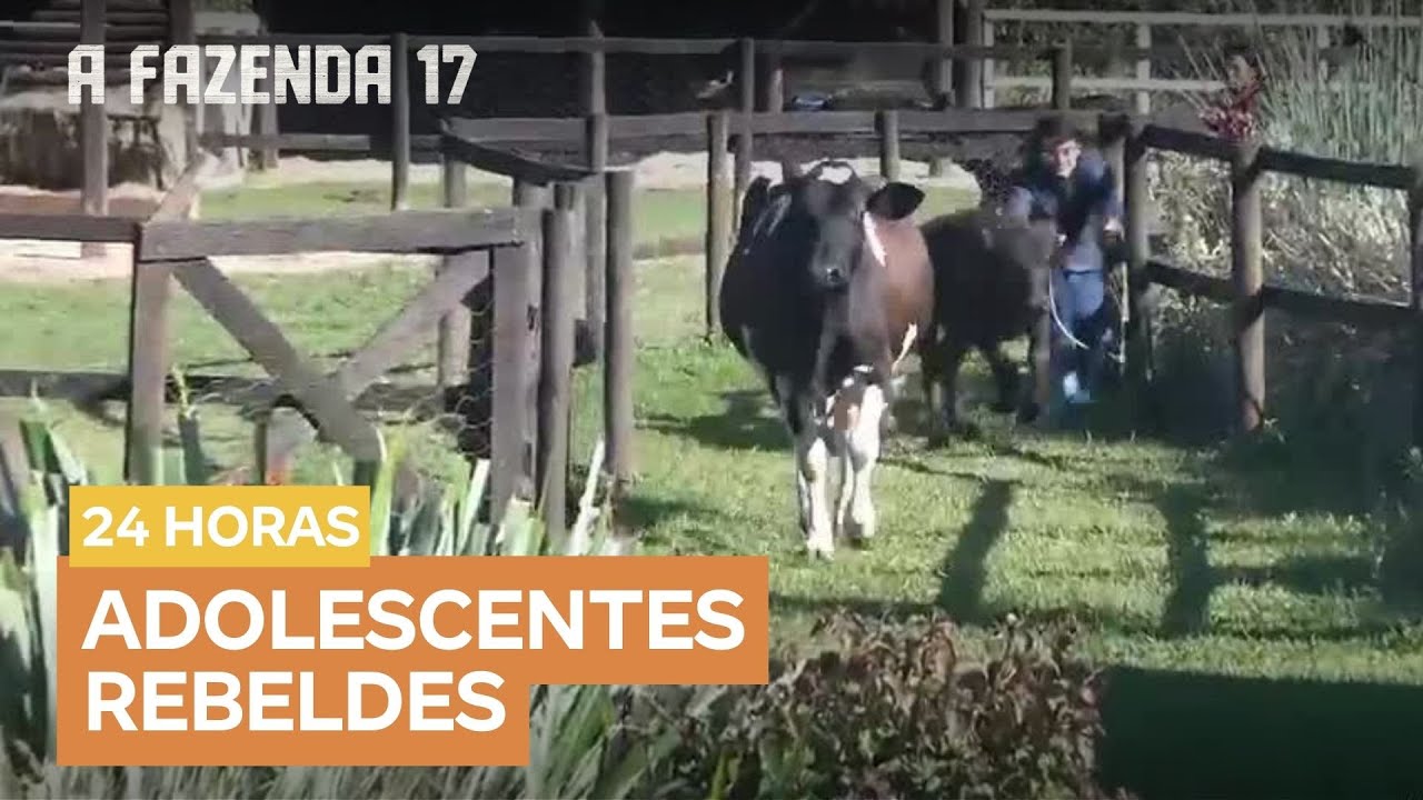 Confusão no pasto: Dudu é quase arrastado por búfalo, e bezerro salta o cercado | A Fazenda 17