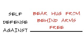 Self Defense Against: Bear Hug Behind Arms Free screenshot 5