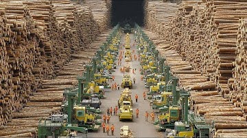 From Forest Hazards To Fine Furniture—Unreal Precision In Every Cut. Woodworking & CNC Manufacturing