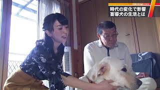 盲導犬との生活に密着　時代の変化で新たな影響も