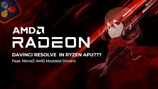 DaVinci Resolve In Ryzen APU??? feat. NimeZ Driver Mod