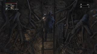 Bloodborne: Calice messenger bath in the 1st dungeon screenshot 3