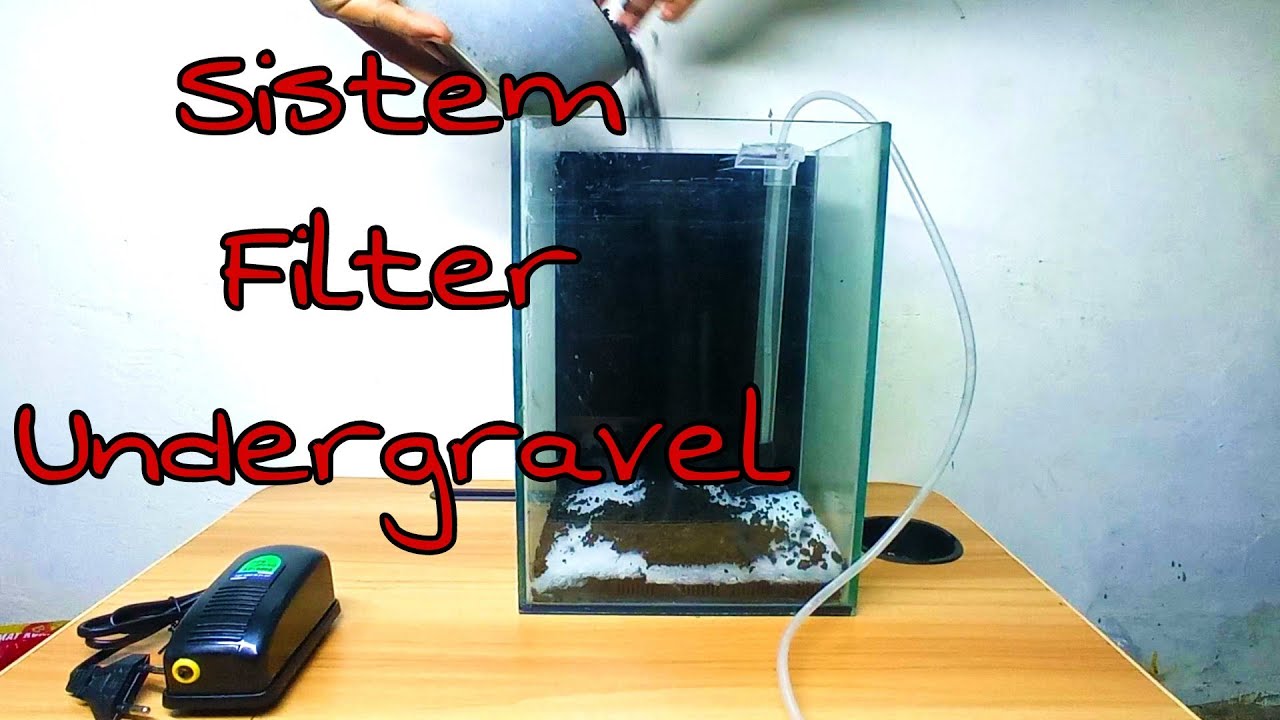 undergravel filter, cara pasang di aquarium soliter YouTube