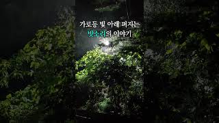 가로등 빛 아래 퍼지는 빗소리의 이야기 #빗소리asmr #수면유도 #rainsounds #백색소음 #rain #asmrsounds