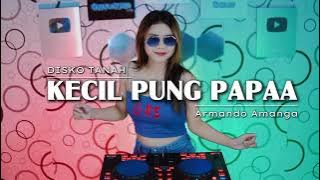 KACILI PUNG PAPA _ DISKO TANAH _ ARMANDO AMANGA _ REMIX 2025