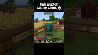 My Friend REALLY Needed White Wool 💀 #minecraft