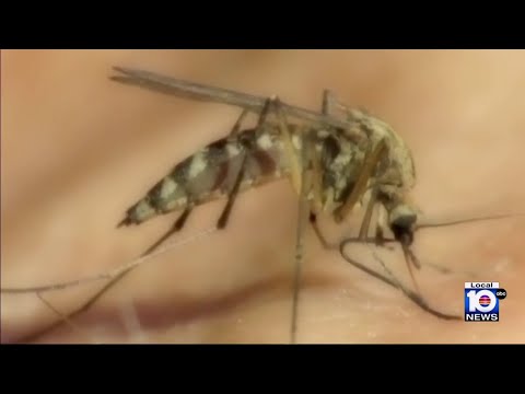 Miami-Dade tests new spraying truck to help control mosquitoes during peak season