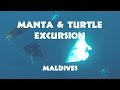 Manta &amp; Turtle Excursion - Maldives