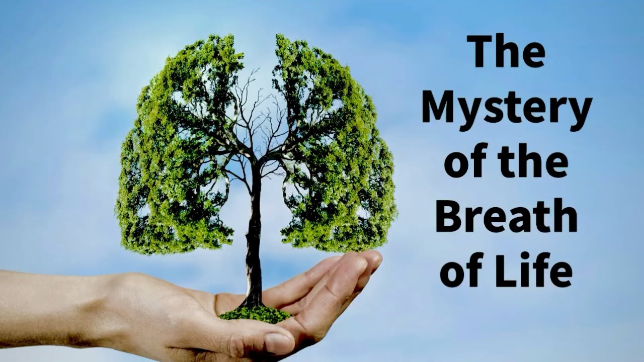 The Mystery of the BREATH OF LIFE