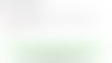 Which reports indicate how traffic arrived at a website?