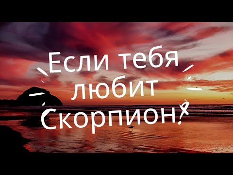 Видео: Комбинация от хороскопи: Свиня-Скорпион