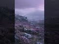 A Dance From the Moss — Countdown Into the Uncanny