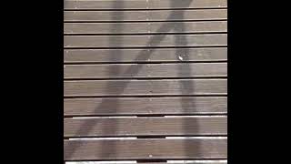 Madalena do Mar, Madeira