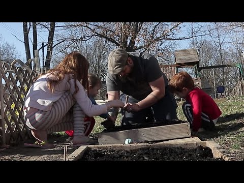 Wideo: Porady ogrodnicze w stanie Michigan: co sadzić w kwietniu