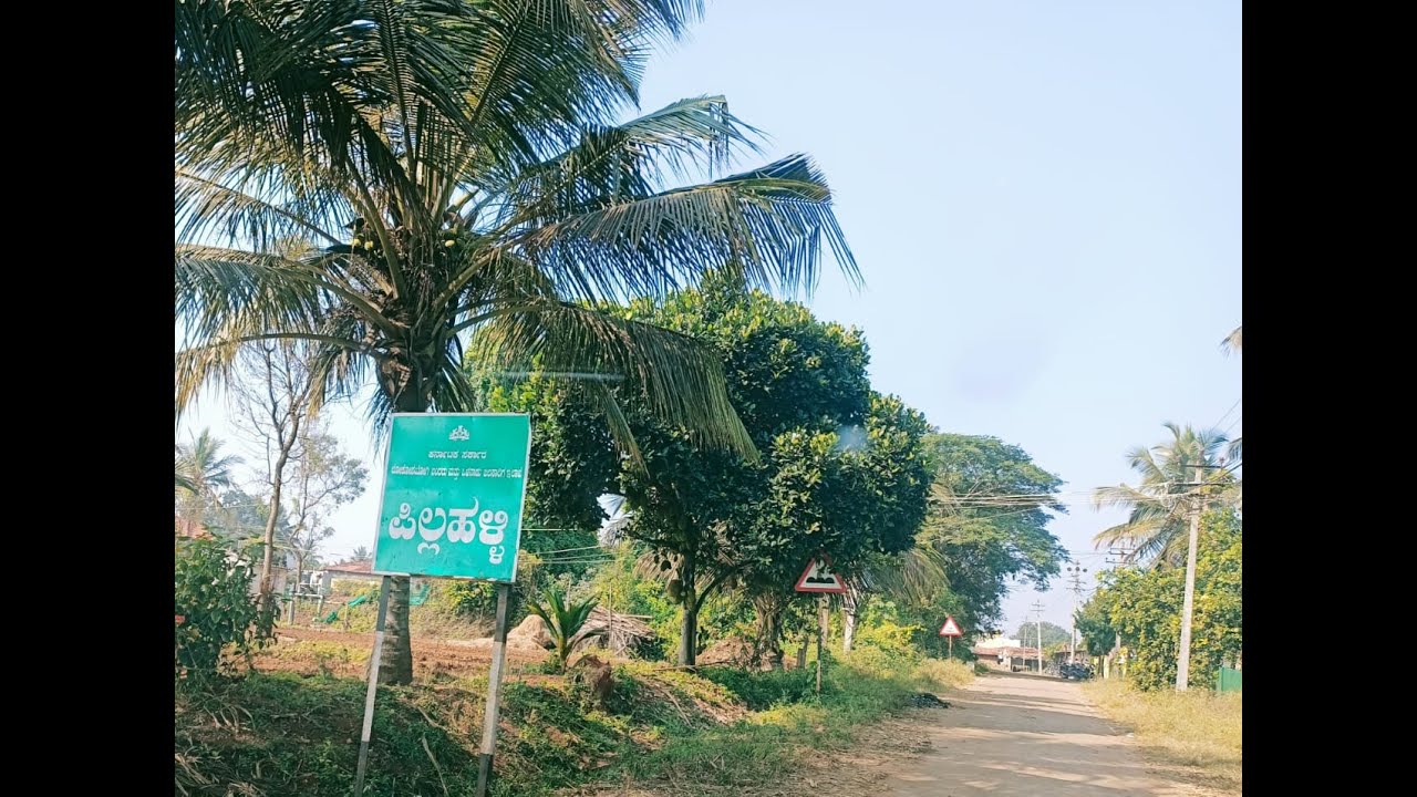 5 acre agriculture land for sale @ Pillahalli Village, Varuna Hobli, Mysuru District, 8660105902.