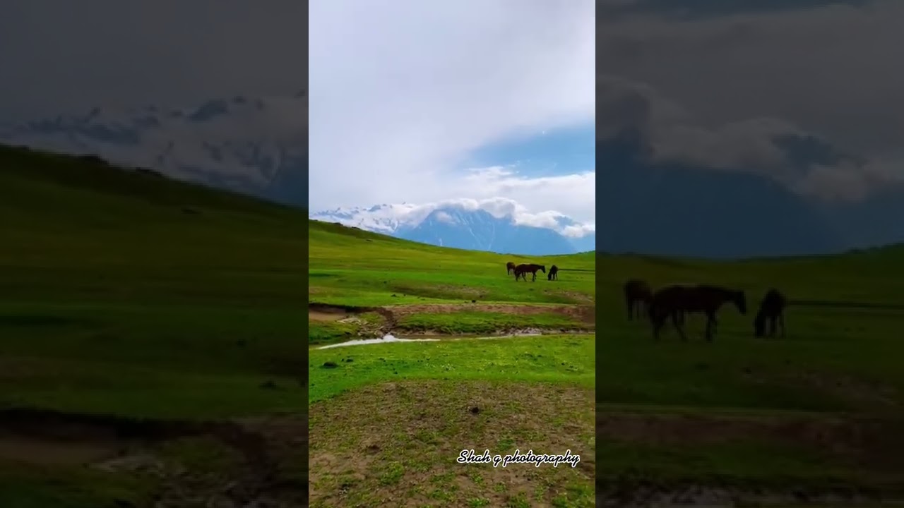 Beshai meadows kalam swat valley kpk