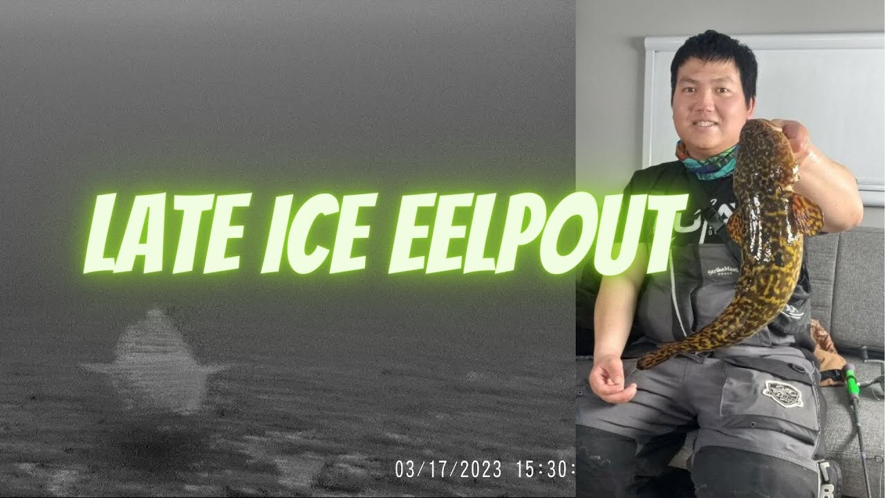 Minnesota Eelpout Fishing With Crazy Underwater Footage!