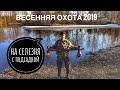 Весенняя охота на селезня 2019